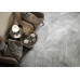Canova Dark D12072M