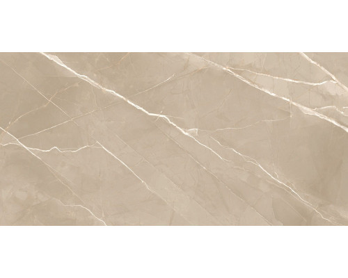 60120ESE21P Essential Marron 60120ESE21P Essential Marron