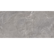60120TER25P Terra Graphite
