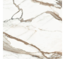 Calacatta Premium D60209M