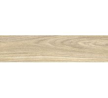 Aspen Marron GP1560ASP21