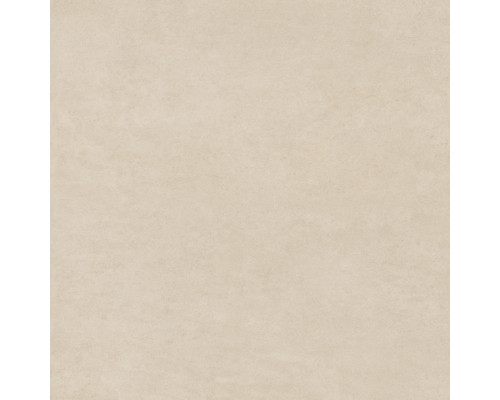 Design Art Beige GP2020DNA11 Design Art Beige GP2020DNA11