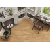 Chalet Color GP1560CHL55